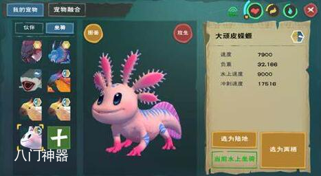 创造与魔法小顽皮蝾螈速度